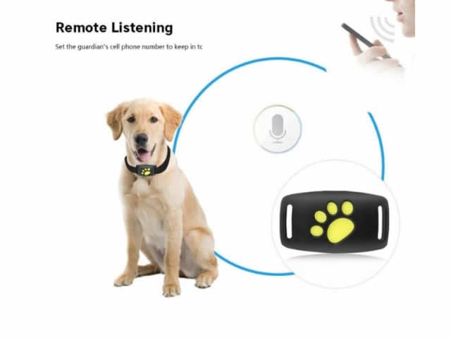 Rastreador e localizador gps para pets